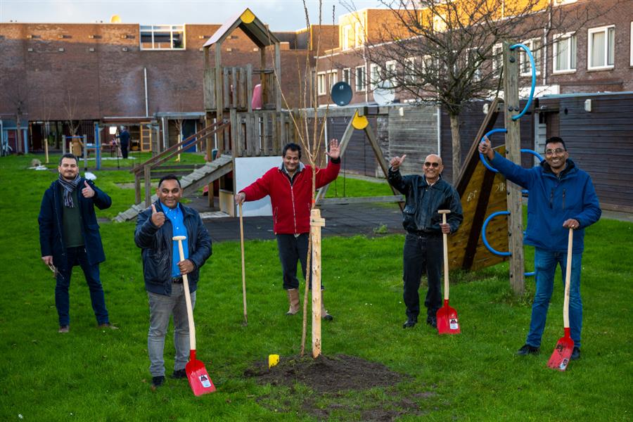 Bericht Bewoners ontvangen hun gratis boom: ‘Heel blij mee!’   bekijken